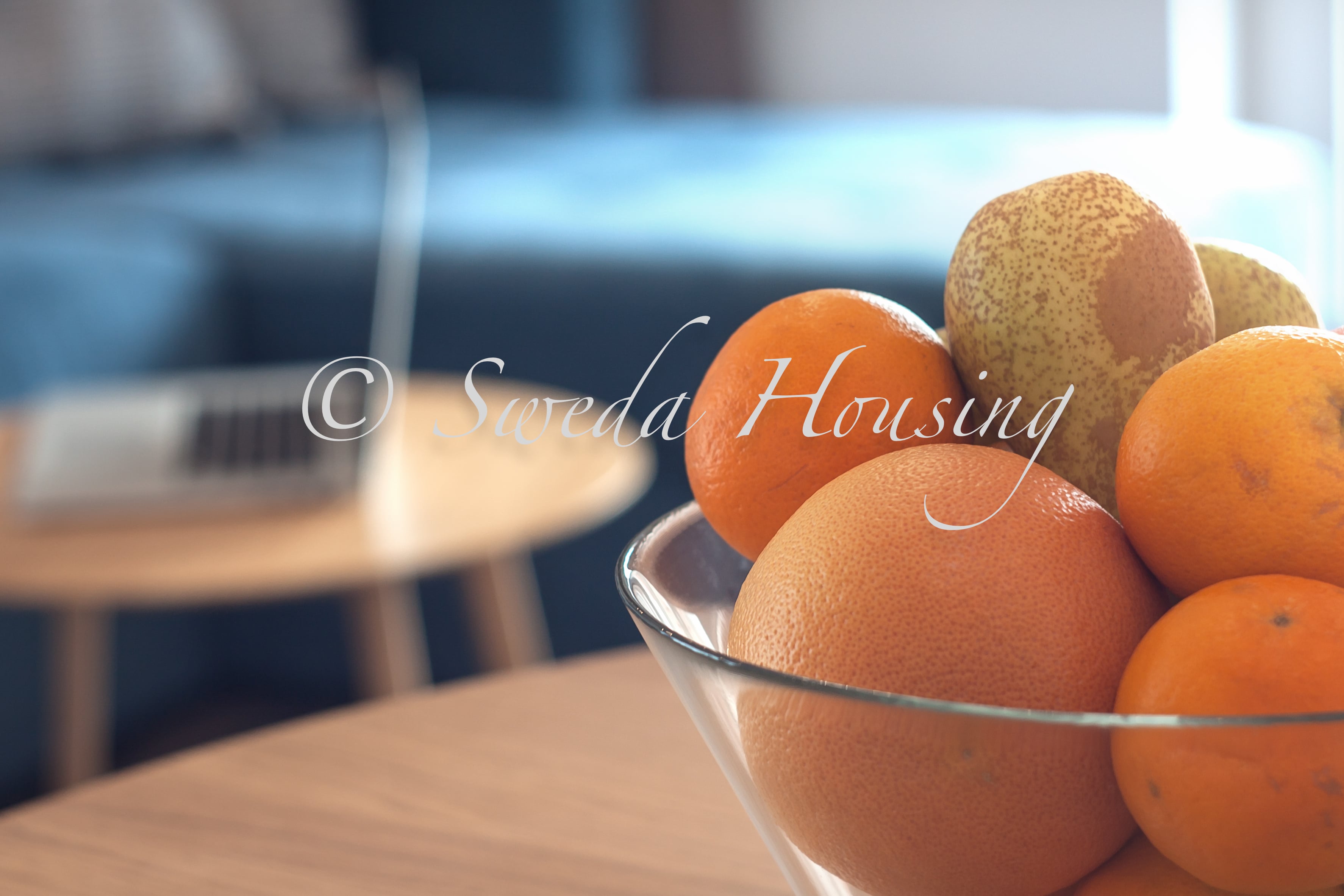 2 bedroom apartment,  11th floor, great for family | photo 3