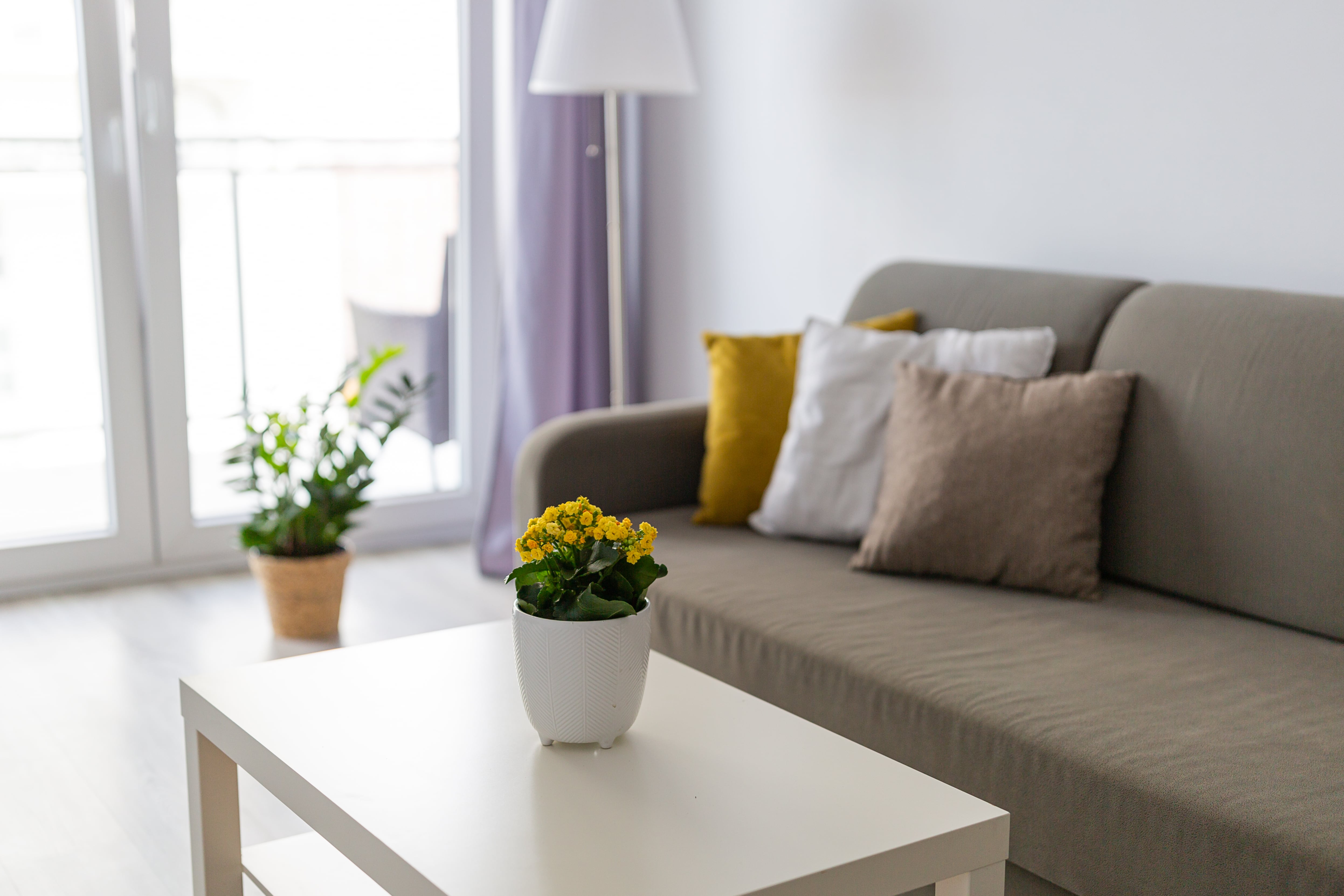 Two room apartment, Cztery Oceany, sea and park close | photo 2