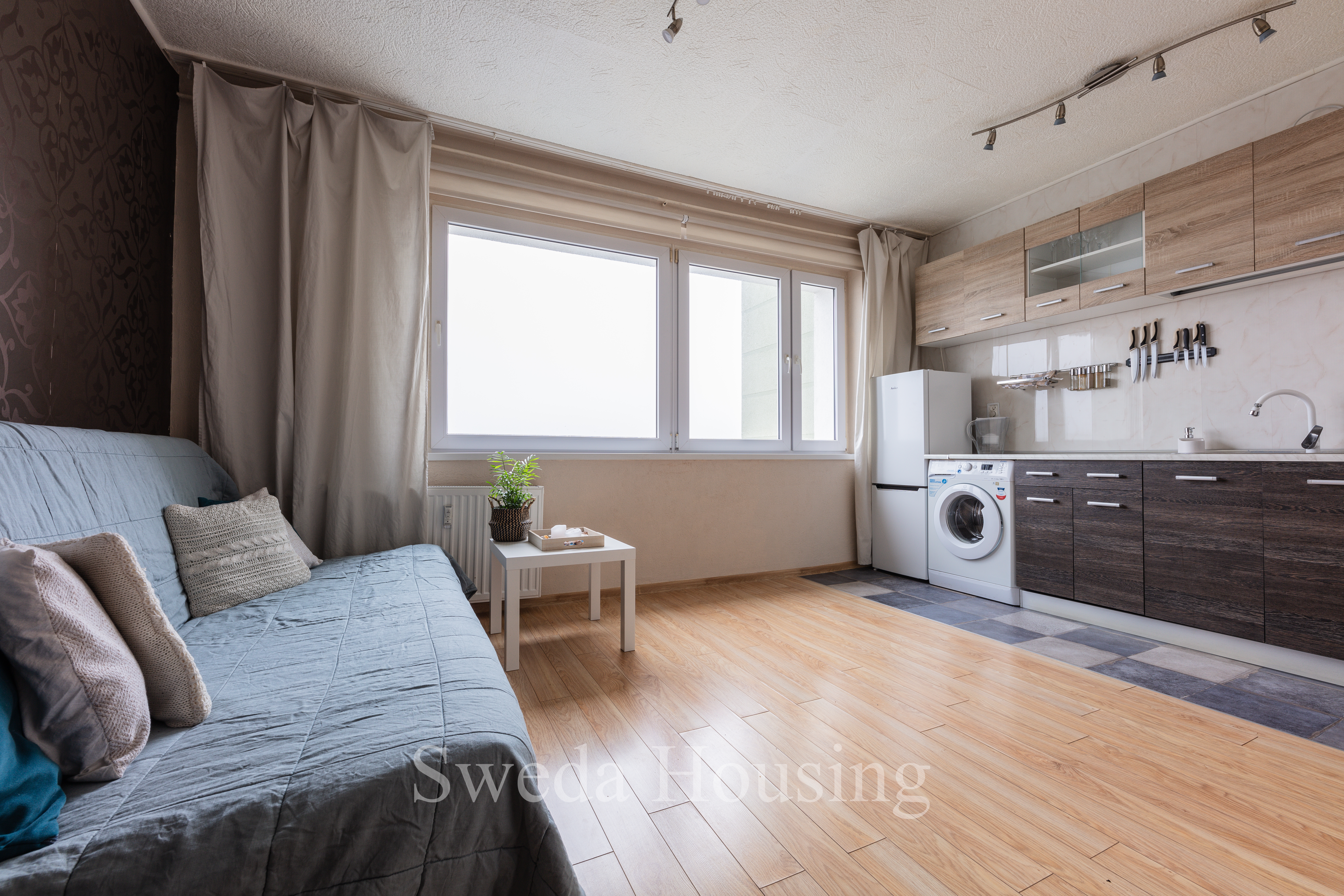 Cozy studio in a great location