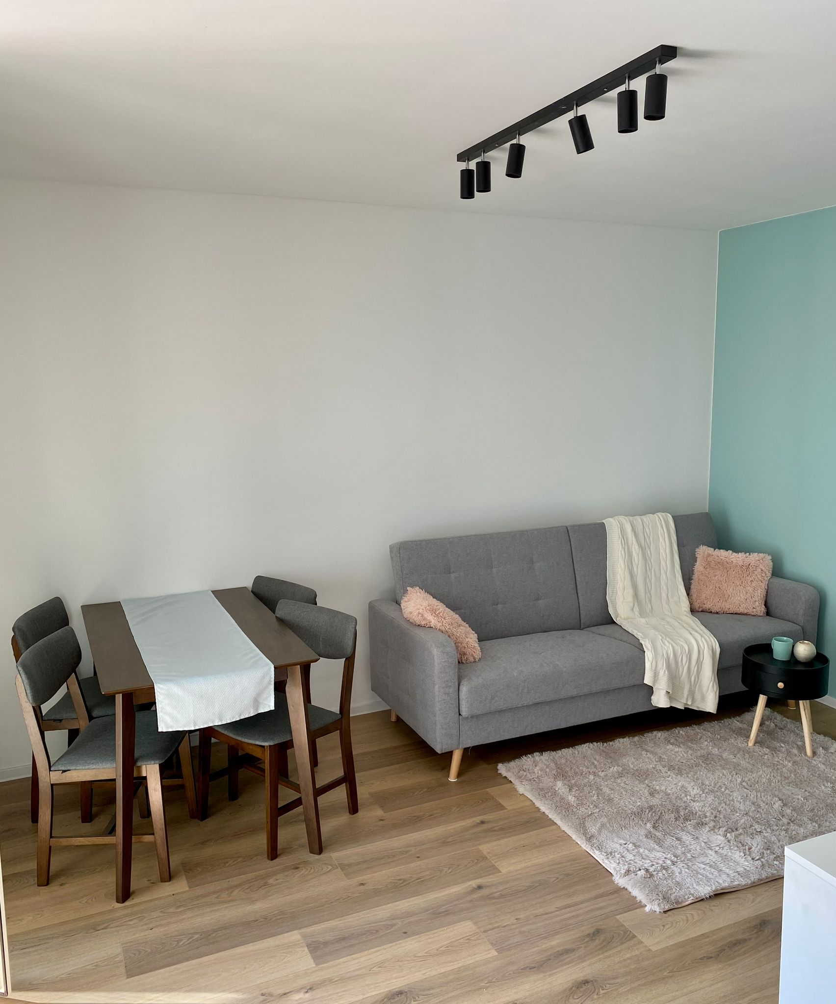APPARTEMENT MODERNE 2 PIÈCES | quartier URSUS — photo 2