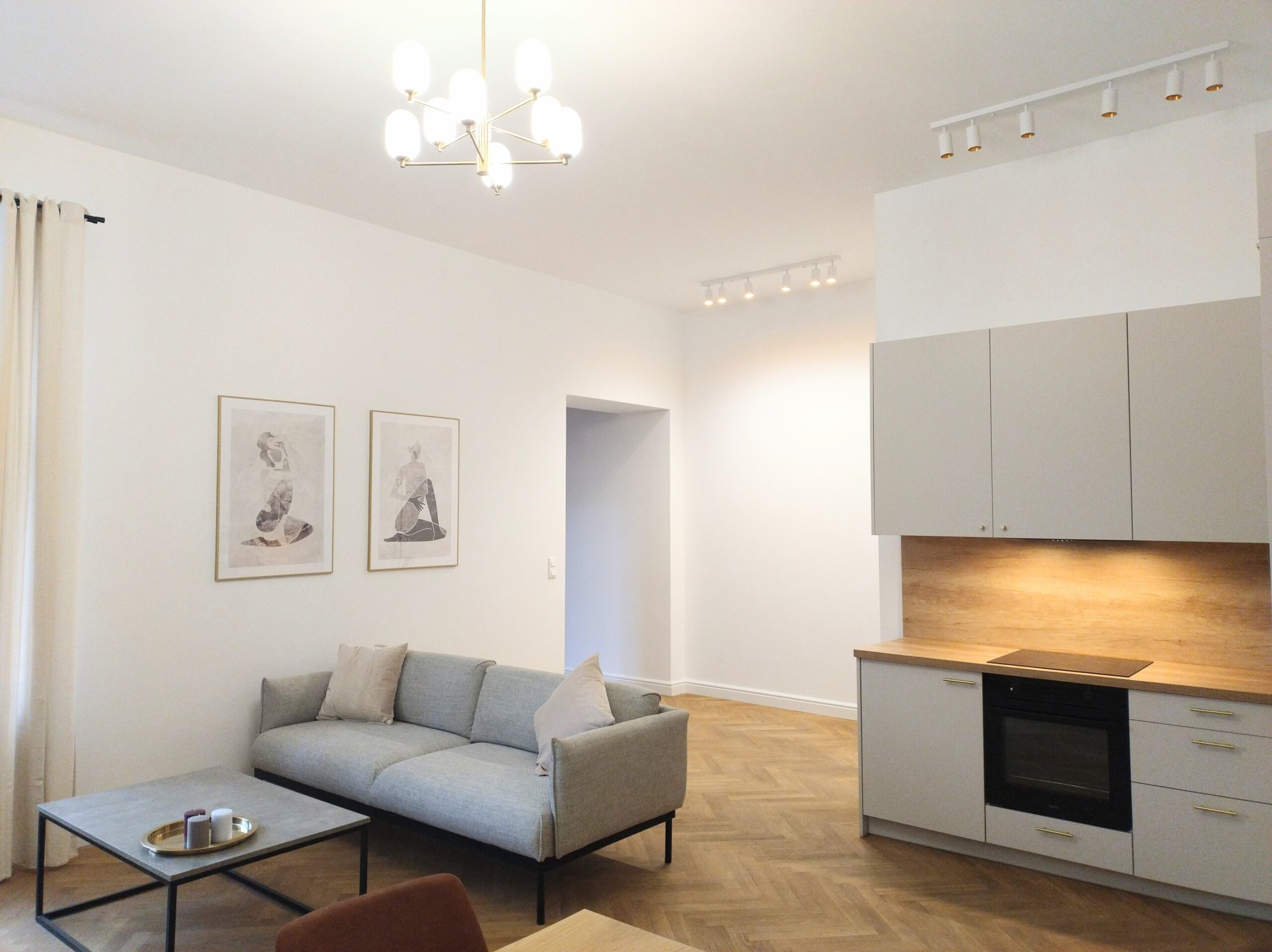 SPACIOUS 3-room flat in the CITY CENTER — photo 2