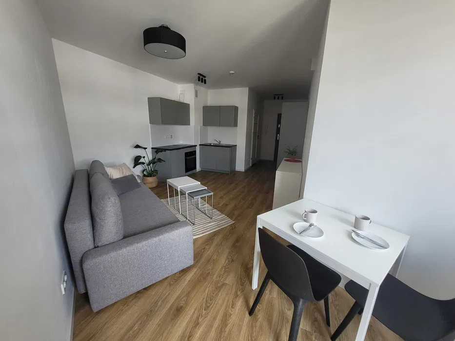 STUDIO SPACIEUX avec balcon à PRAGA POLUDNIE