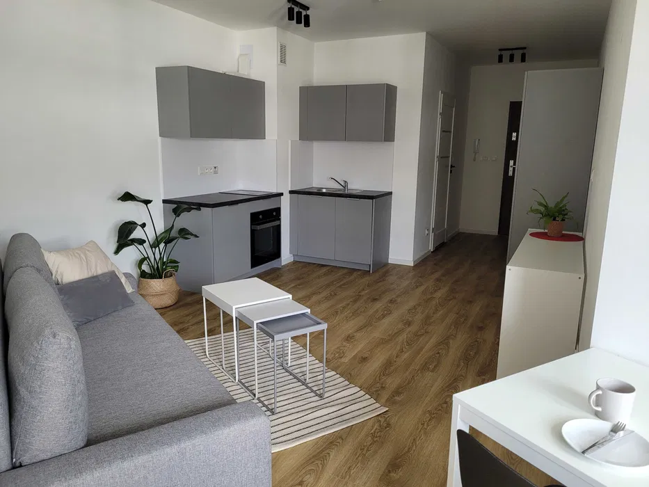 SPACIOUS STUDIO flat with balcony in PRAGA POLUDNIE