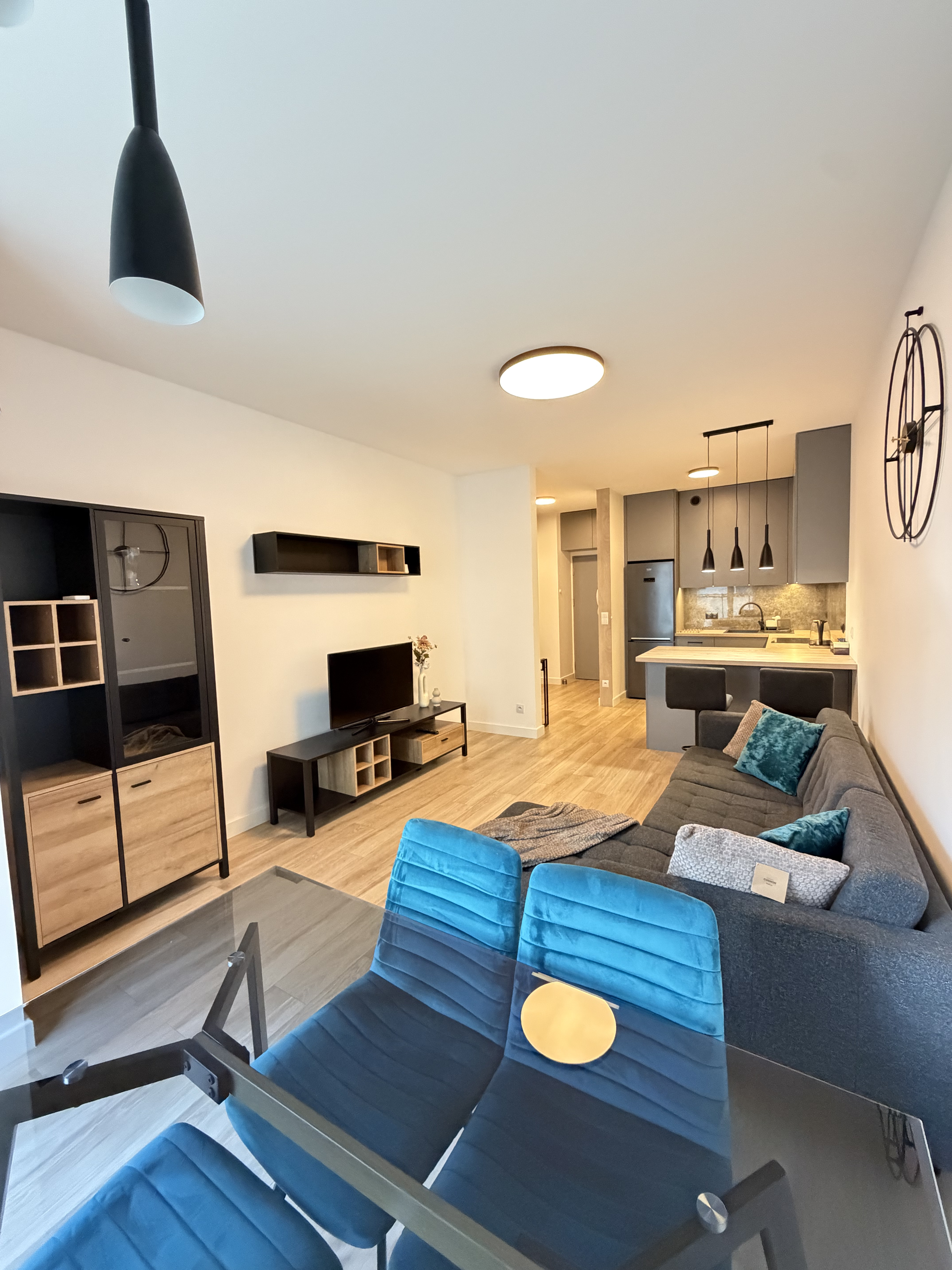 SPACIOUS 2-ROOM APARTMENT– SIEDMIOGRODZKA ,WOLA area/ Warsaw Spire /AC/